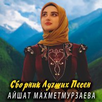 Постер песни Айшат Махметмурзаева - Вайшина безам