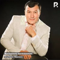 Постер песни Soyibjon Niyozov - Borasammi bormasammi