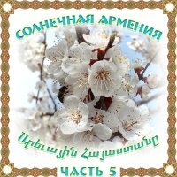 Постер песни Anahit Simonyan - Kam