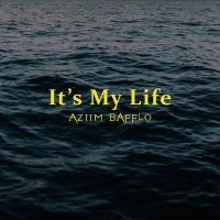 Постер песни Aziim Bafflo - It's My Life