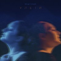 Постер песни marinet - улети