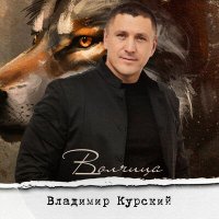 Постер песни Владимир Курский - Мы братья