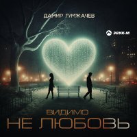 Постер песни Дамир Гумжачев - Видимо не любовь