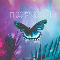Постер песни Apo11on - ПОРХАЙ