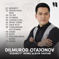 Постер песни Dilmurod Otajonov - Oy qiz