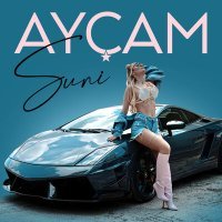 Постер песни Ayçam - Suni