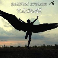 Постер песни Валерий Ярушин - Февральский блюз