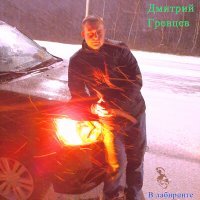 Постер песни Дмитрий Гревцев - В лабиринте