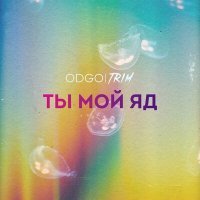 Постер песни ODGO - Ты мой яд