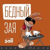 Постер песни DJ Зая - Бедный Зая