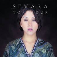Постер песни Севара - Qarghalar