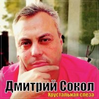 Постер песни Дмитрий Сокол - Хрустальная слеза