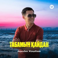Постер песни Ақылбек Жаңабаев - Табамын қайдан