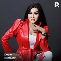 Постер песни Nensi Zair - Ceylan