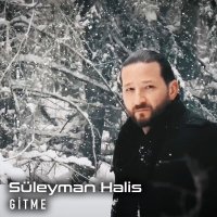 Постер песни Süleyman Halis - Gitme