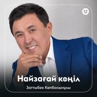 Постер песни Заттыбек Көпбосынұлы - Найзағай көңіл