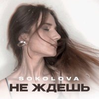 Постер песни SOKOLOVA - Не ждёшь