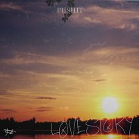 Постер песни Pushit - Love Story