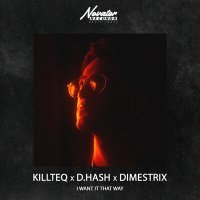 Постер песни Killteq & D.Hash, DIMESTRIX - I Want It That Way