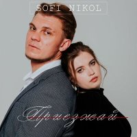Постер песни Sofi Nikol - Приезжай