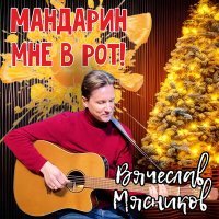 Постер песни Вячеслав Мясников - Мандарин мне в рот!