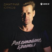 Постер песни Дмитрий Юрков - Работайте, братья