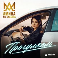 Постер песни Амина Магомедова - Прогуляем