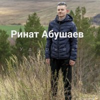 Постер песни Ринат Абушаев - Ударник