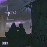Постер песни Nevo - Agonie