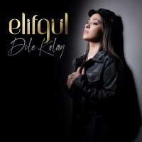Постер песни Elifgül - Dile Kolay