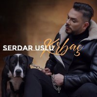 Постер песни Serdar Uslu - Kırbaç
