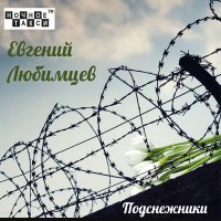 Постер песни Евгений Любимцев - За что еврея в кичу посадили