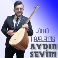 Постер песни Aydın Sevim - Bülbül Havalanmış