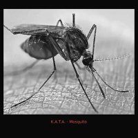 Постер песни K.A.T.A. - Mosquito