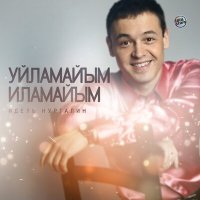 Постер песни Идель Нургалин - Уйламайым, иламайым