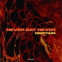 Постер песни DEEPTAIM - Never Say Never