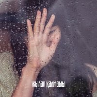 Постер песни Дидар Динсламов - Жылап қалмашы
