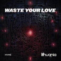 Постер песни HVME - Waste Your Love