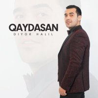 Постер песни Diyor Halil - Qaydasan