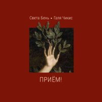 Постер песни Света Бень, Chikiss - Кёртису