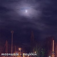 Постер песни reykkin - moonwalk