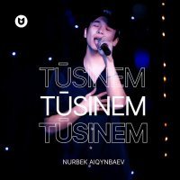 Постер песни Nurbek Aiqynbaev - Tūsinem