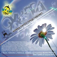 Постер песни Cветлана Зорина - Финист-ясный сокол