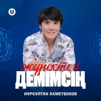 Постер песни Нурсултан Ахметбеков - Жүректегі демімсің