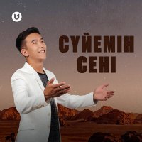 Постер песни Әкімхан Әділет - Сүйемін сені