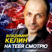 Постер песни Владимир Келин - На тебя смотрю