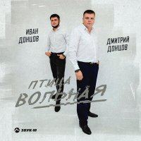 Постер песни Иван Донцов, Дмитрий Донцов - Птица вольная