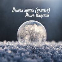 Постер песни Игорь Виданов - Вторая жизнь (Remixes)