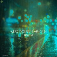 Постер песни DNDM - Miss You In The Rain