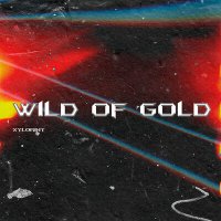 Постер песни xylorint - Wild of Gold